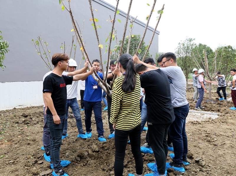 7員工種植web.jpg 7員工種植web.jpg